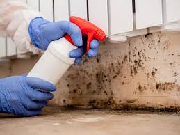 Best Real Estate Mold Inspection  in Nes, IL